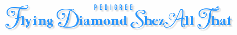 Pedigree - Flying Diamond Shez All That